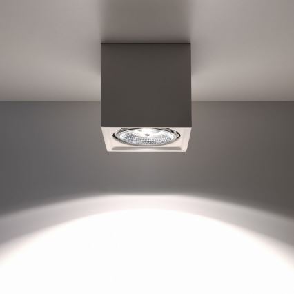 Plafondlamp SEIDA 1xGU10 / 40W / 230V