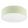 Plafondlamp SIRJA PASTEL 2xE27/60W/230V diameter 45 cm groen