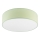 Plafondlamp SIRJA PASTEL DOUBLE 4xE27/15W/230V diameter 45 cm groen