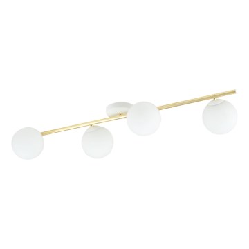 Plafondlamp SPLENDI 4xE14/10W/230V wit/goud