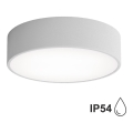 Plafondlamp voor badkamer met sensor CLEO 2xE27/24W/230V Ø 30 cm grijs IP54
