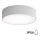 Plafondlamp voor badkamer met sensor CLEO 2xE27/24W/230V Ø 30 cm grijs IP54