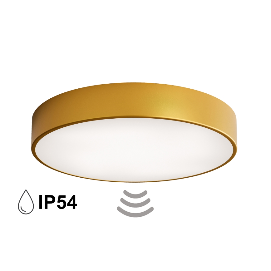 Plafondlamp voor badkamer met sensor CLEO 4xE27/24W/230V Ø 50 cm IP54, goudkleurig