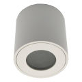 Plafondlamp voor buiten FARA 1xGU10/50W/230V IP54 wit