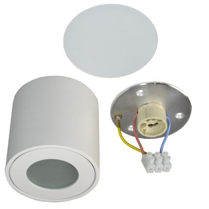 Plafondlamp voor buiten FARA 1xGU10/50W/230V IP54 wit