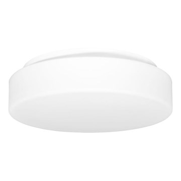 Plafondlamp voor buiten HECTOR 1xE27/60W/230V diameter 30 cm IP44 opaal wit