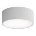 Plafondlamp voor de badkamer met sensor CLEO 1xE27/24W/230V pr. 20 cm IP54 grijs