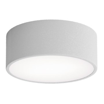 Plafondlamp voor de badkamer met sensor CLEO 1xE27/24W/230V pr. 20 cm IP54 grijs