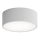 Plafondlamp voor de badkamer met sensor CLEO 1xE27/24W/230V pr. 20 cm IP54 grijs