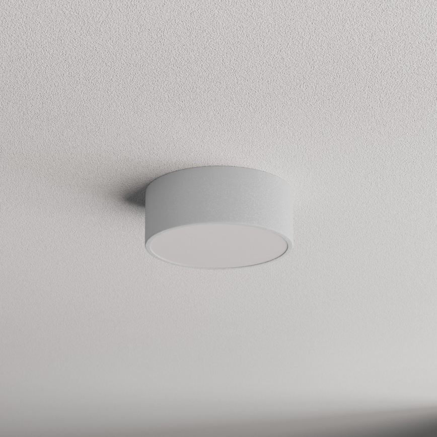Plafondlamp voor de badkamer met sensor CLEO 1xE27/24W/230V pr. 20 cm IP54 grijs