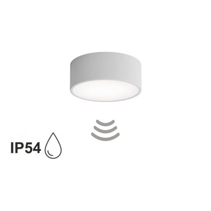 Plafondlamp voor de badkamer met sensor CLEO 1xE27/24W/230V pr. 20 cm IP54 grijs