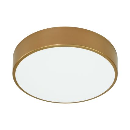 Plafondlamp voor de badkamer met sensor CLEO 3xE27/24W/230V Ø 40 cm goudkleurig IP54