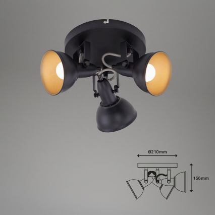 Plafondspot 3xE14/40W/230V zwart