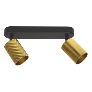 Plafondspot ELAN 2xGU10/30W/230V goud/zwart