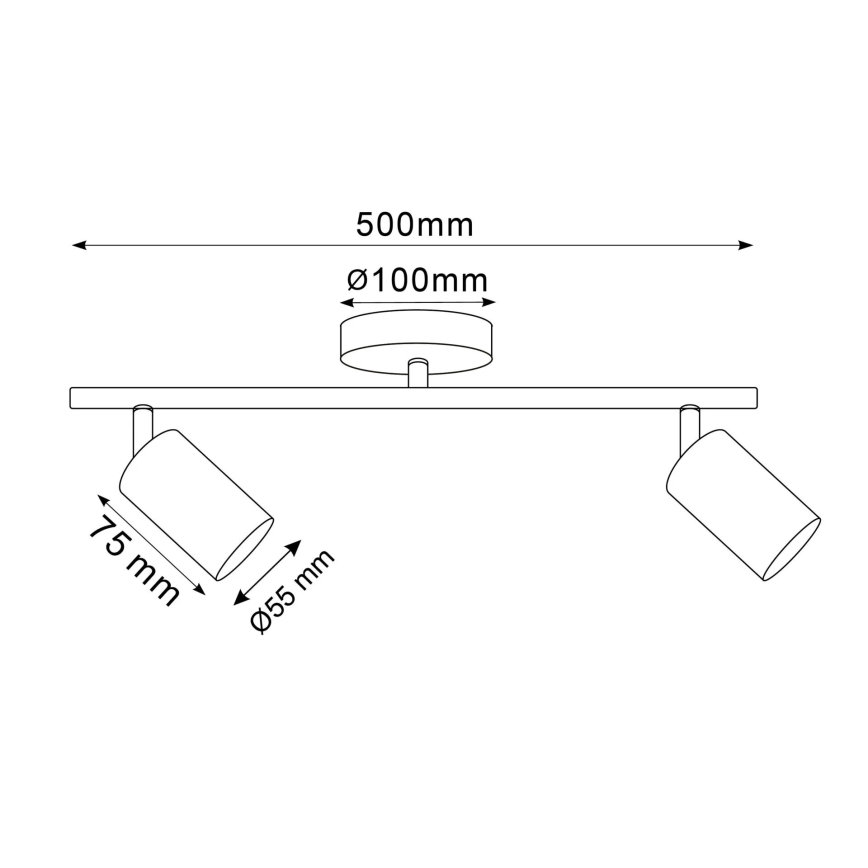 Plafondspot GOLDIE 2xGU10/10W/230V goudkleurig