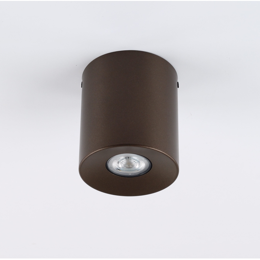 Plafondspot ORION 1xGU10/10W/230V 12,5 cm bruin