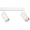 Plafondspot PIPE 2xGU10/10W/230V wit
