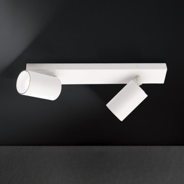 Plafondspot SEAN 2xGU10/13W/230V wit