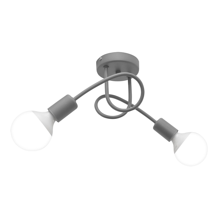 Plafondverlichting OXFORD 2xE27/15W/230V