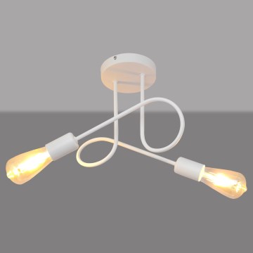 Plafondverlichting OXFORD 2xE27/15W/230V wit