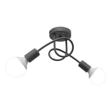 Plafondverlichting OXFORD 2xE27/15W/230V zilver