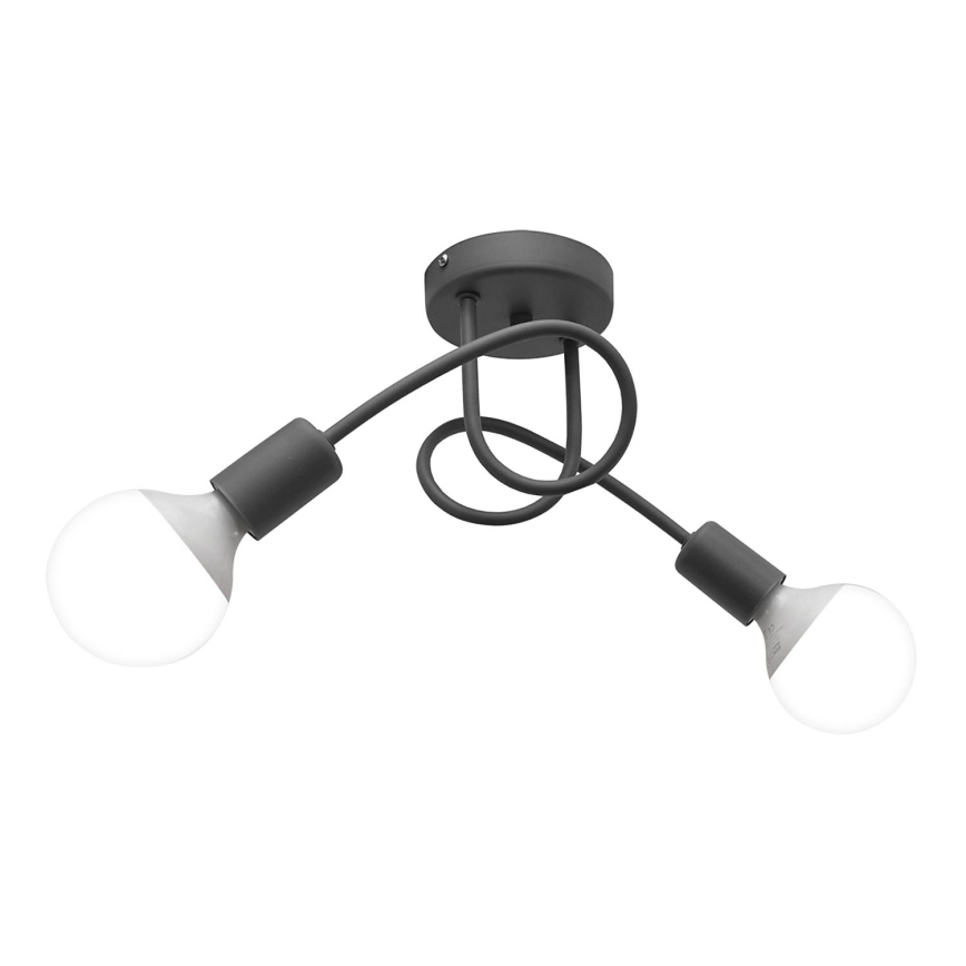 Plafondverlichting OXFORD 2xE27/15W/230V zilver