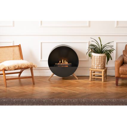 Planika - BIO-open haard met afstandsbediening 72,6x65 cm 2,5kW/230V zwart