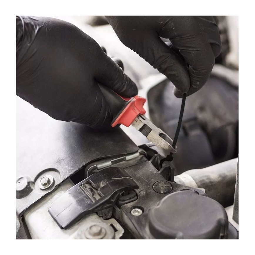 Plastic Banden met Sluiting 2,5x100mm 100pcs zwart