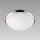 Prezent 1518 - Vervangend glas voor plafondlamp LUNA E27
