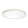 Prezent 27304 - LED Badkamer plafondlamp CORDIA LED/12W/230V 3000/6000K IP54 wit