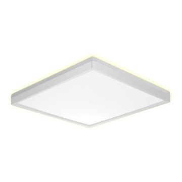 Prezent 27309 - LED Badkamer plafondlamp CORDIA SQ LED/24W/230V 3000/6000K IP54 wit