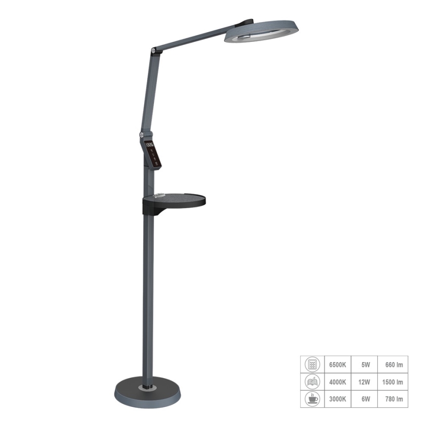 Prezent 31220 - LED Dimbaar aanraken Staande lamp SALSA LED/15W/230V USB