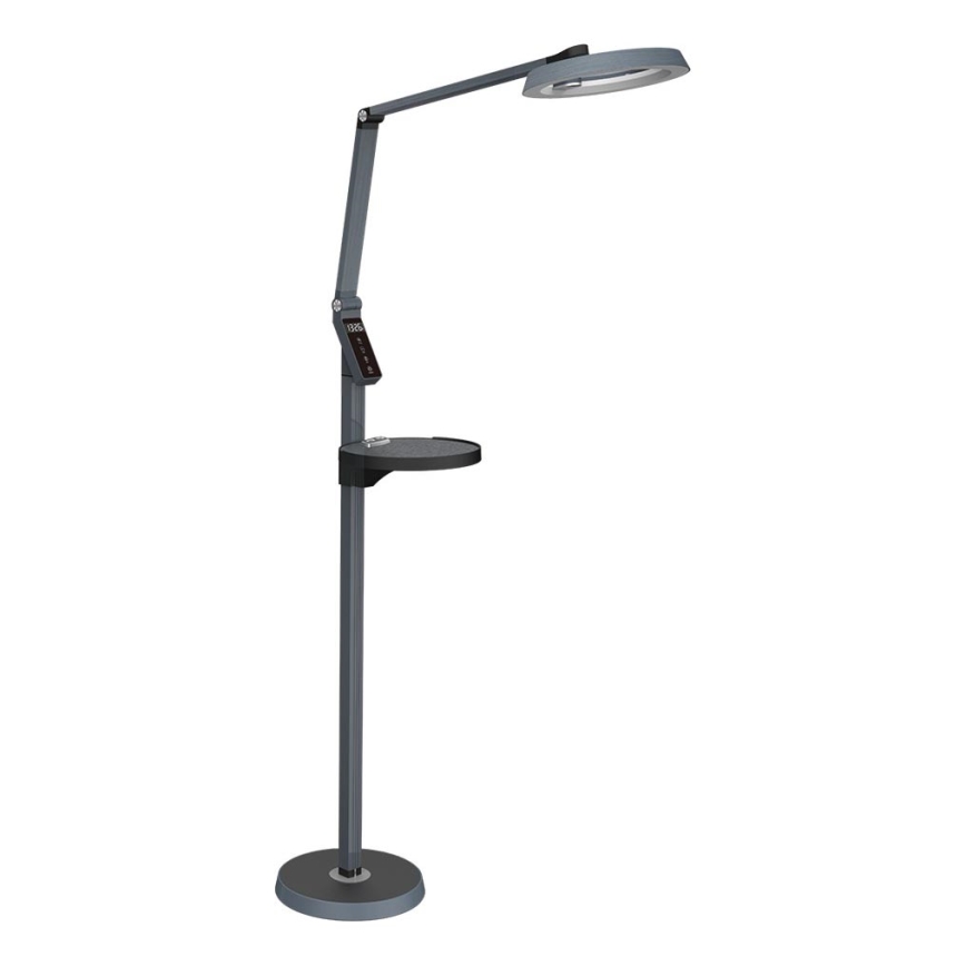 Prezent 31220 - LED Dimbaar aanraken Staande lamp SALSA LED/15W/230V USB
