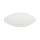 Prezent 420 - Vervangingsglas voor badkamer-, wand- en plafondlamp NEPTUN E14