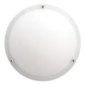 Prezent 423 - Vervangend glas voor plafondlamp NEPTUN E27