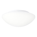 Prezent 45138 - LED plafondlamp voor de badkamer ASPEN LED/12W/230V IP44