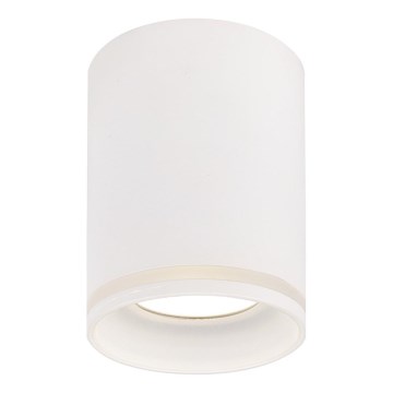 Prezent 71112 - Spotlamp SAUL 1xGU10/50W/230V Ø 7 cm wit