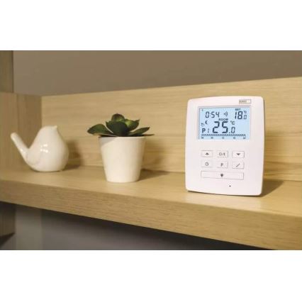 Programmeerbare thermostaat 230V+2xAA