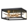 Quintiesse - LED plafondlamp STYX LED/8W/230V zwart/goud