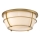 Quoizel - Badkamer plafondlamp CHANCE 2xE27/60W/230V IP44