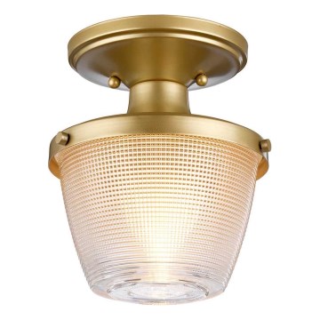 Quoizel - Badkamer plafondlamp DUBLIN 1xE27/40W/230V IP44 goud