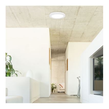 Rabalux - LED Plafondlamp met sensor LED/18W/230V 4000K 22,5 cm