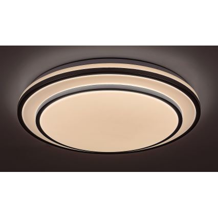Rabalux - LED dimbare plafondlamp LED/40W/230V 3000-6500K zilver Ø 49 cm + afstandsbediening