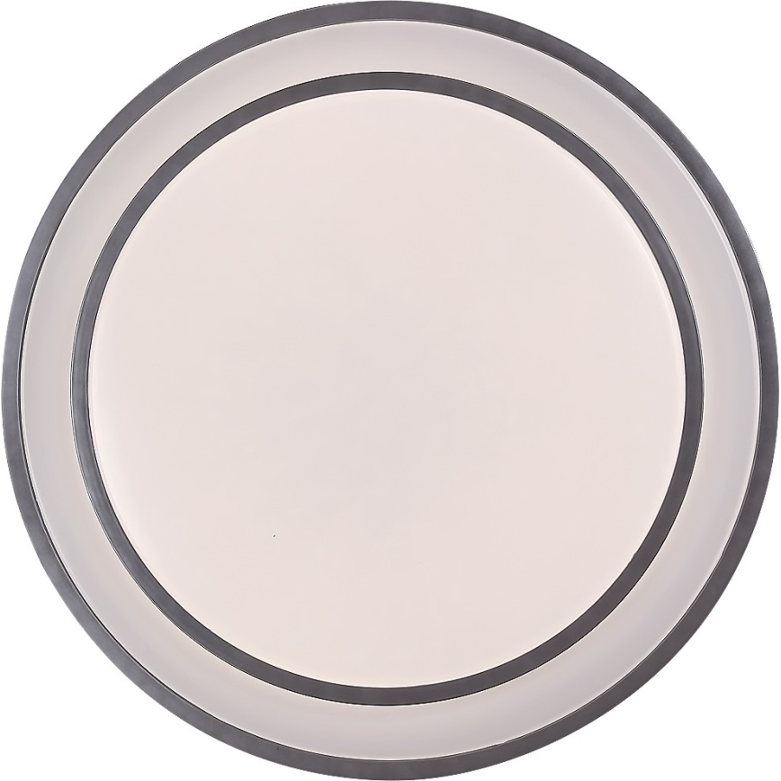 Rabalux - LED dimbare plafondlamp LED/40W/230V 3000-6500K zilver Ø 49 cm + afstandsbediening