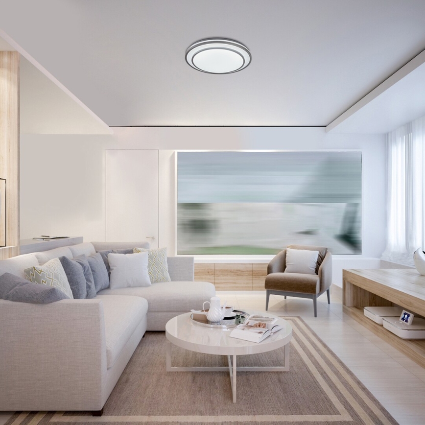 Rabalux - LED dimbare plafondlamp LED/40W/230V 3000-6500K zilver Ø 49 cm + afstandsbediening