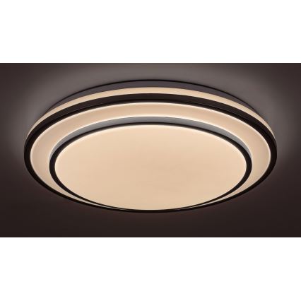 Rabalux - LED dimbare plafondlamp LED/40W/230V 3000-6500K zilver Ø 49 cm + afstandsbediening