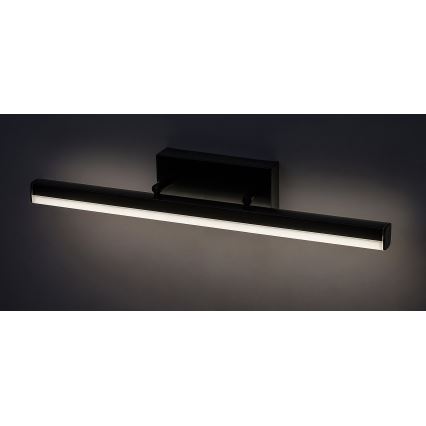 Rabalux - LED Spiegelverlichting badkamer LED/12W/230V 49 cm IP44