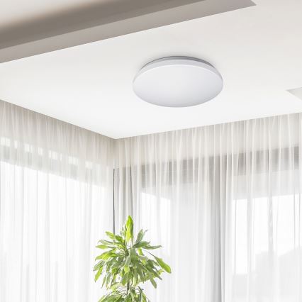 Rabalux - LED plafondlamp 1xLED/32W/230V diameter 38 cm
