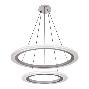 Rabalux 2429 - LED Hanglamp ADRIENNE LED/62W/230V zilver