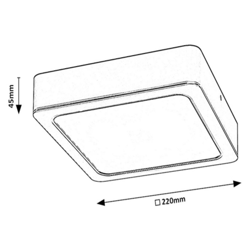 Rabalux - LED Plafondlamp LED/24W/230V 22x22 cm
